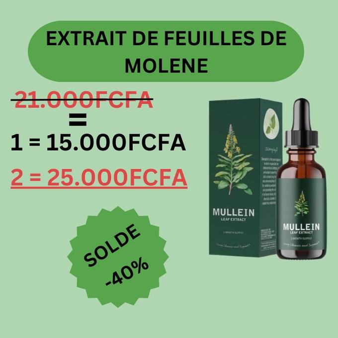 AMELIOREZ VOTRE RESPIRATION ET L'ETAT DE VOS POUMONS.