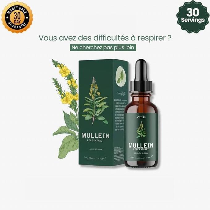 AMELIOREZ VOTRE RESPIRATION ET L'ETAT DE VOS POUMONS.